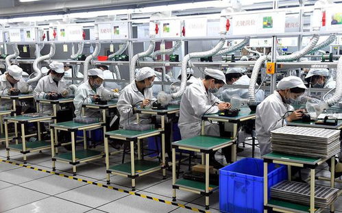 進工廠還是做服務生 一份務實的選擇指南